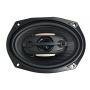 Celsior CS-693DJ