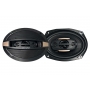 Celsior CS-693DJ